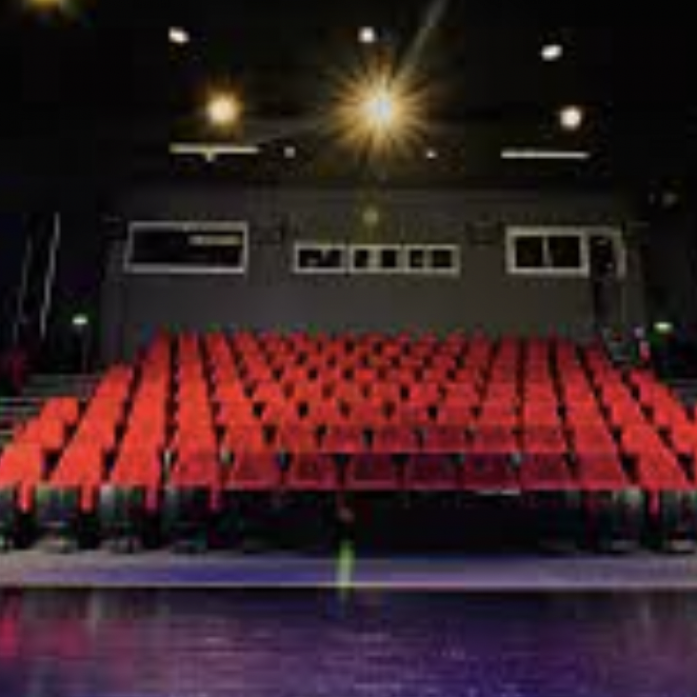 Marie-France Leccia, programmatrice cinéma à l’Espace Magnan
