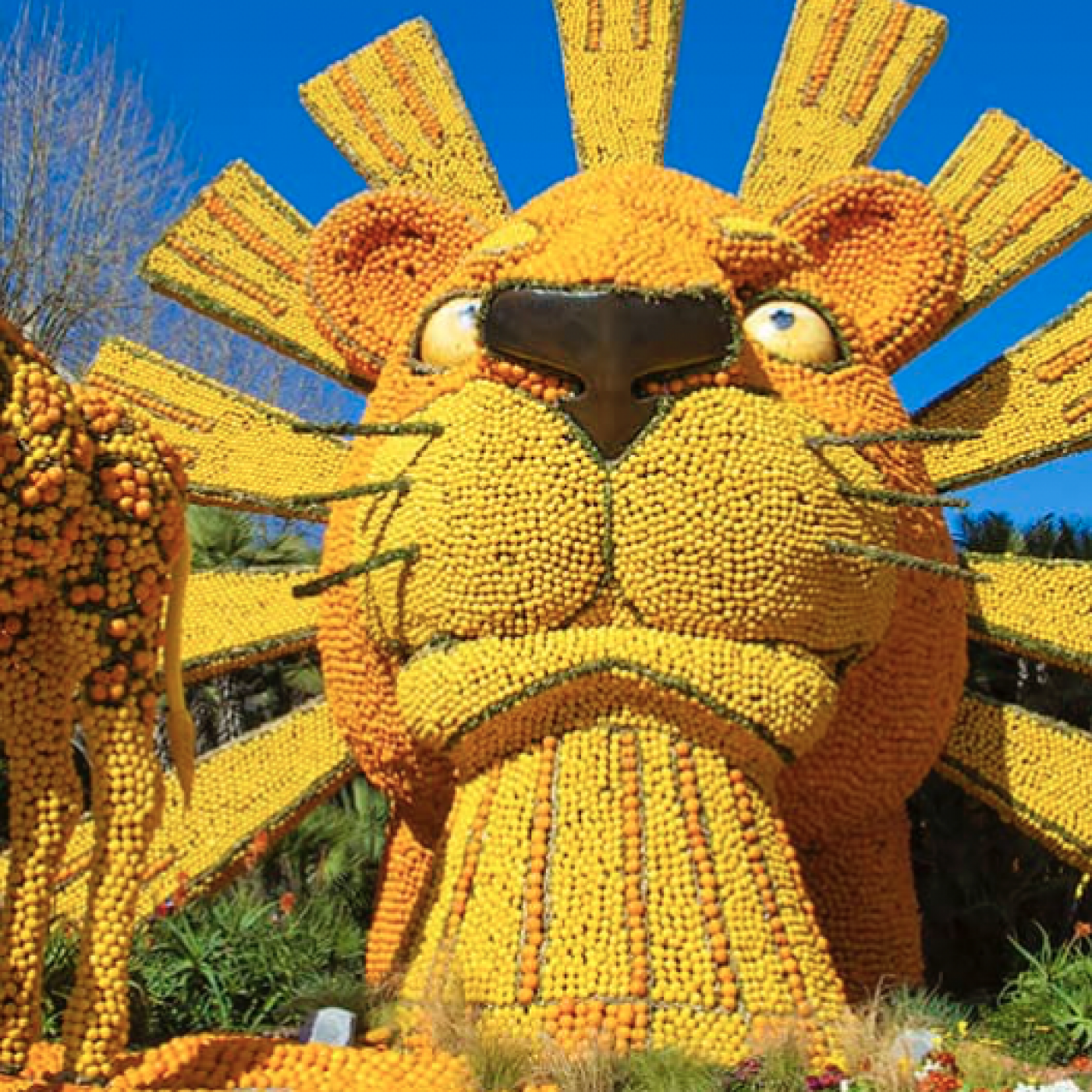 La fête du citron à Menton