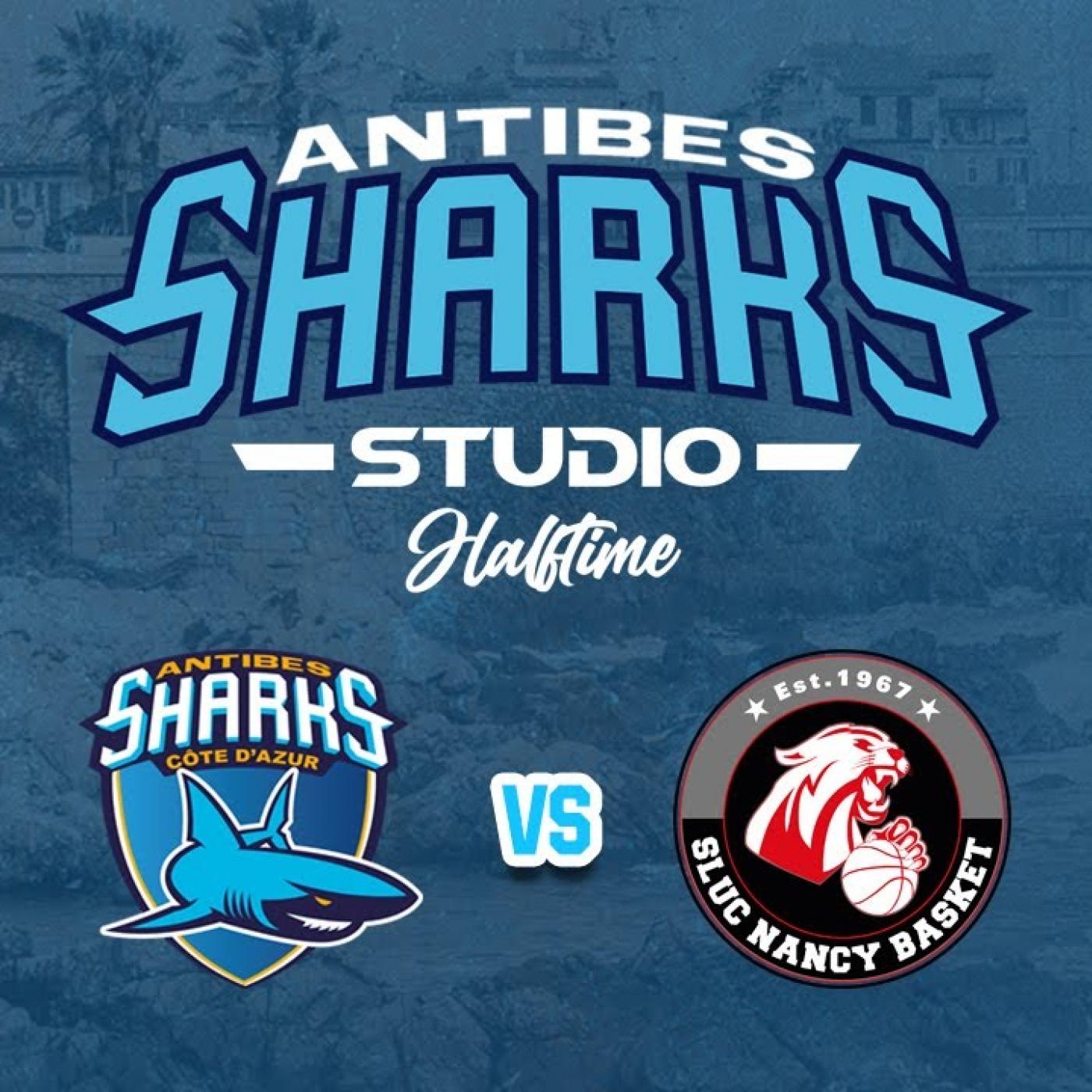 Sport : Les Sharks d’Antibes affrontent Nancy
