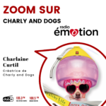 Zoom sur une entreprise