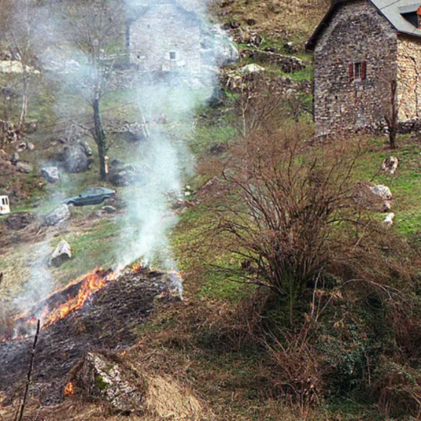 Alpes-Maritimes : brûler les végétaux est interdit jusqu’au 20 février en raison de la sècheresse et du risque incendie