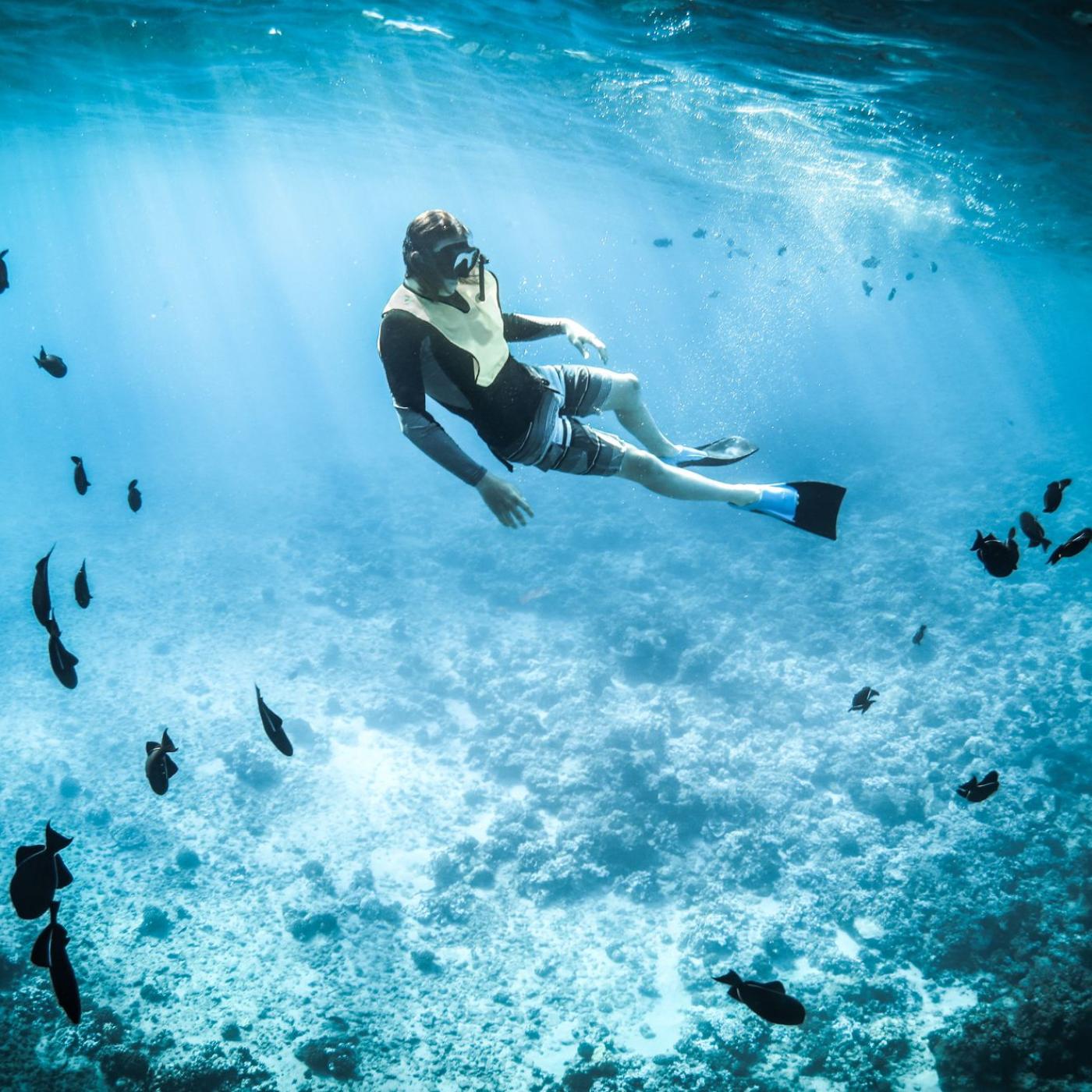 Le Dico des Rêves : Que signifie rêver de respirer sous l’eau ?