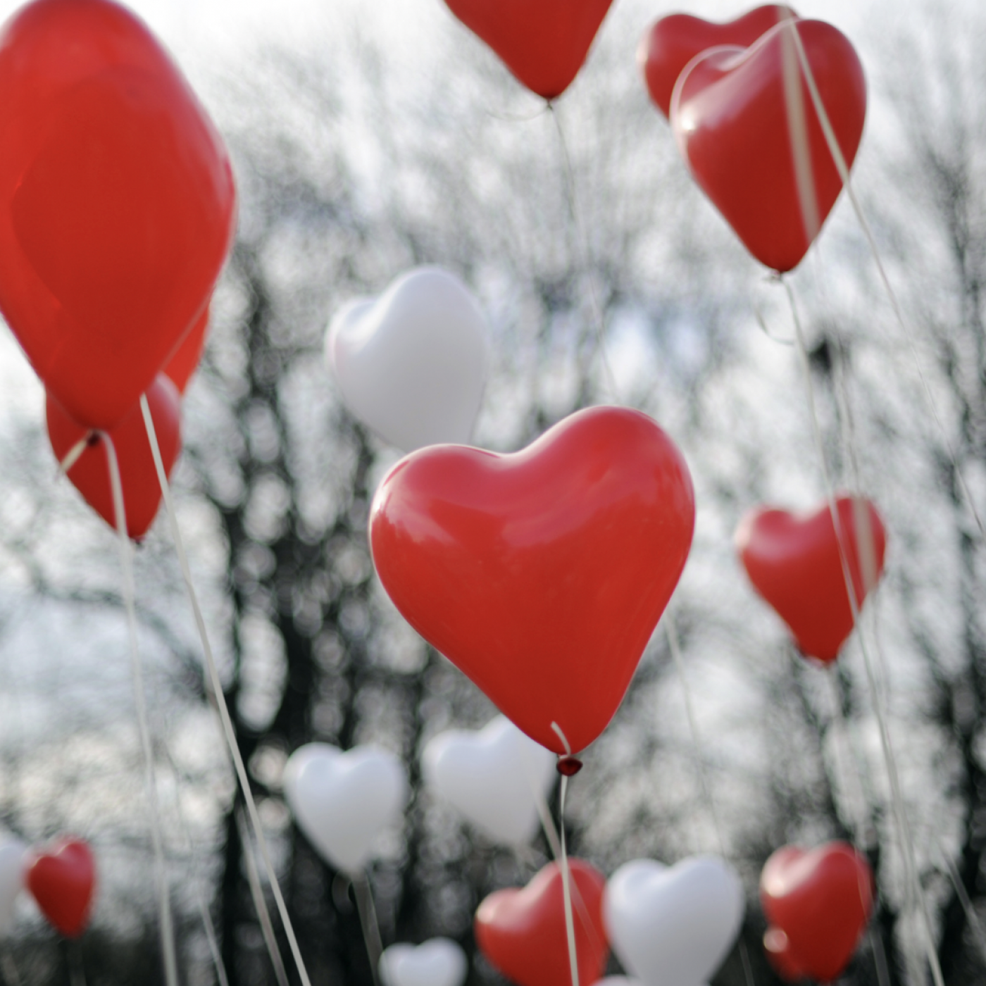 Le Journal des Bonnes Nouvelles : Quelques idées de surprises pour la Saint Valentin !