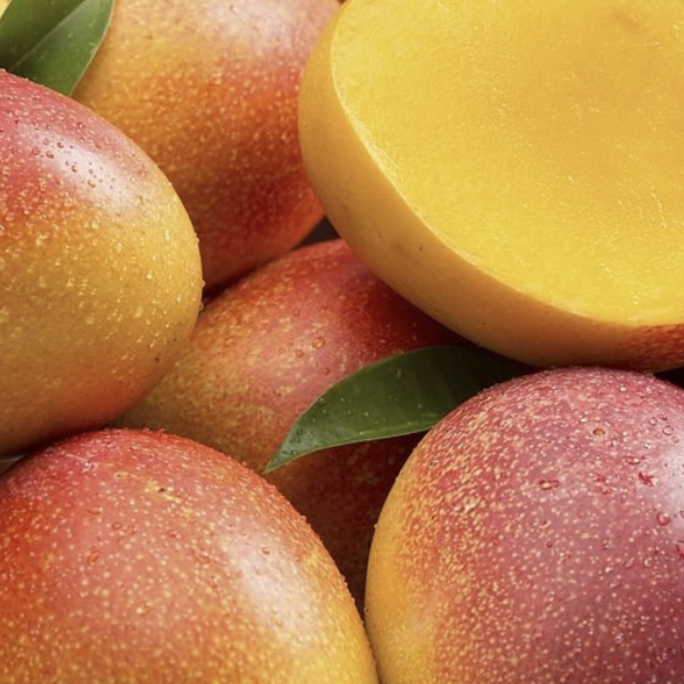 Le Dico des Rêves : Que signifie rêver de mangue ?