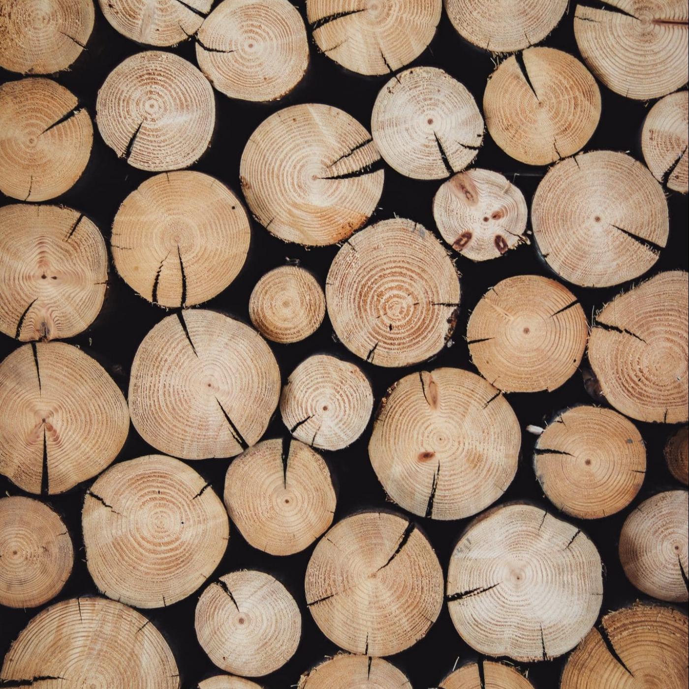 Le Dico des Rêves : Que signifie rêver de couper du bois ?