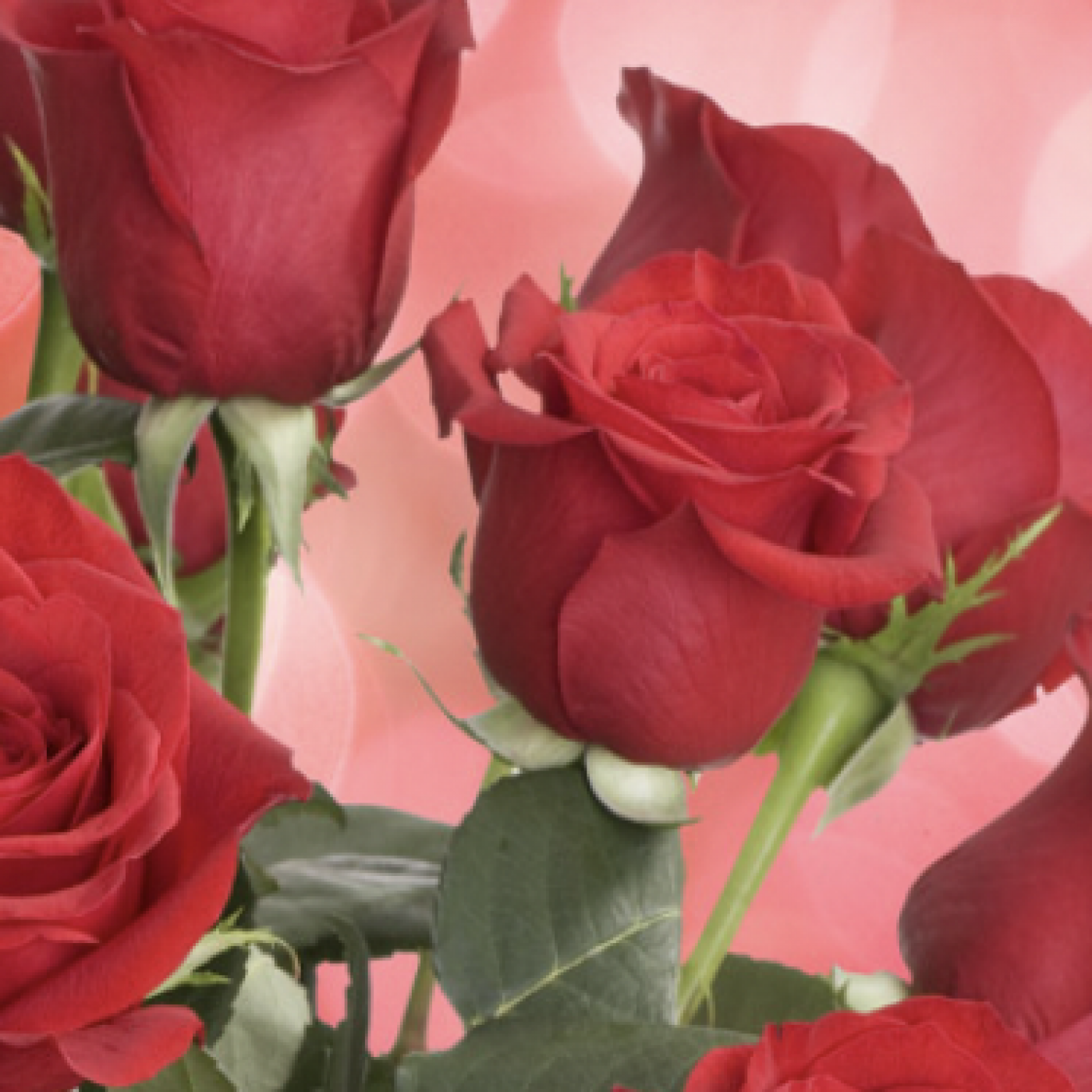 Le Dico des Rêves : Que signifie rêver de fleurs rouges ?
