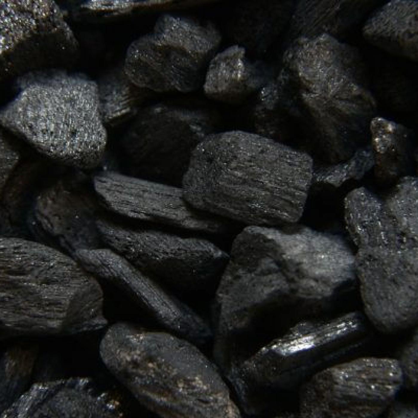 Le Dico des Rêves : Que signifie rêver de charbon de bois ?