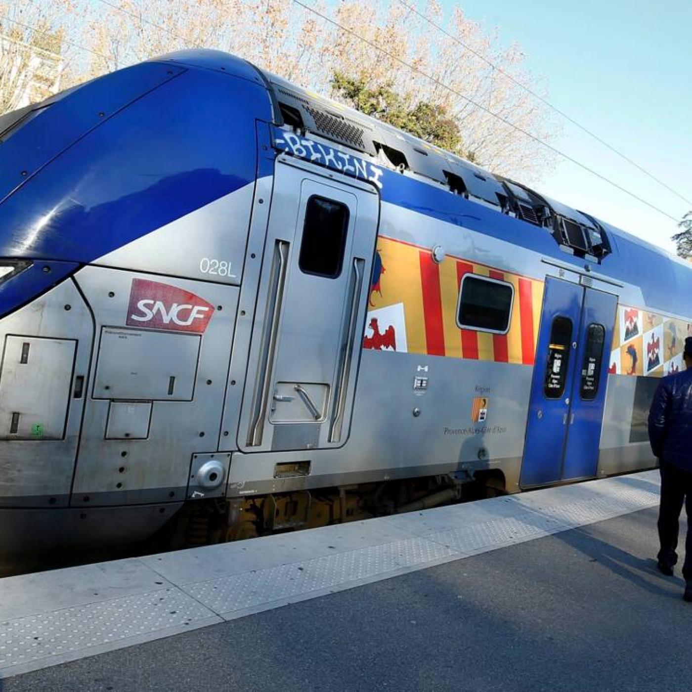 La circulation des trains TER Zou sera perturbée demain à cause d’une grève