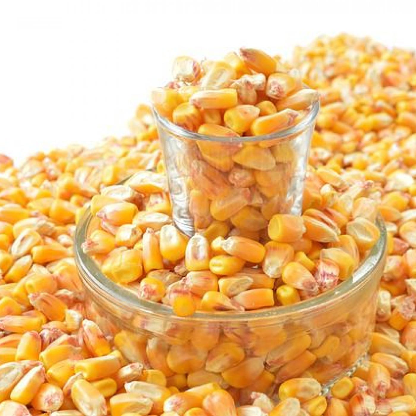 Le Dico des Rêves : Que signifie rêver de grains de maïs ?