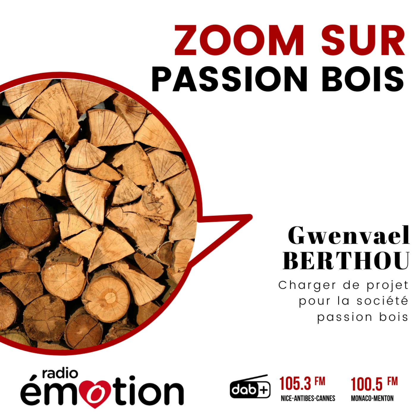 ZOOM SUR PASSION BOIS