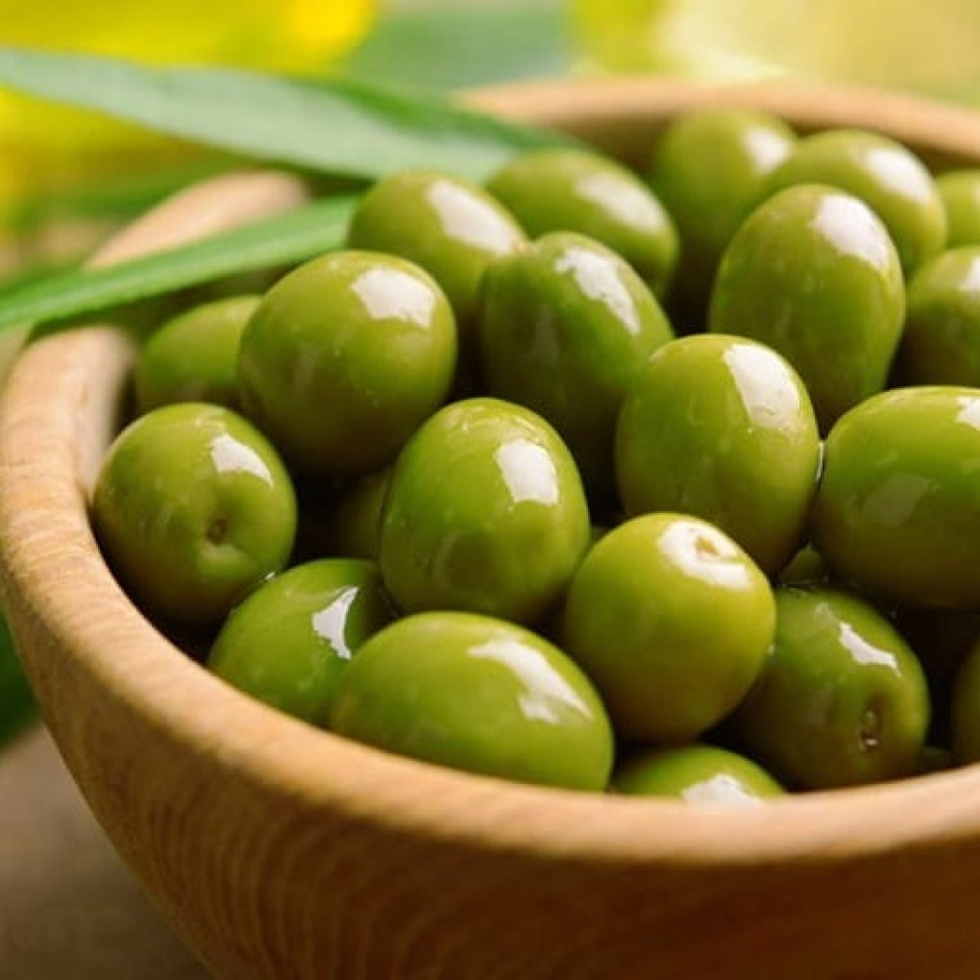 C’est l’heure de la récolte des olives à Villeneuve-Loubet