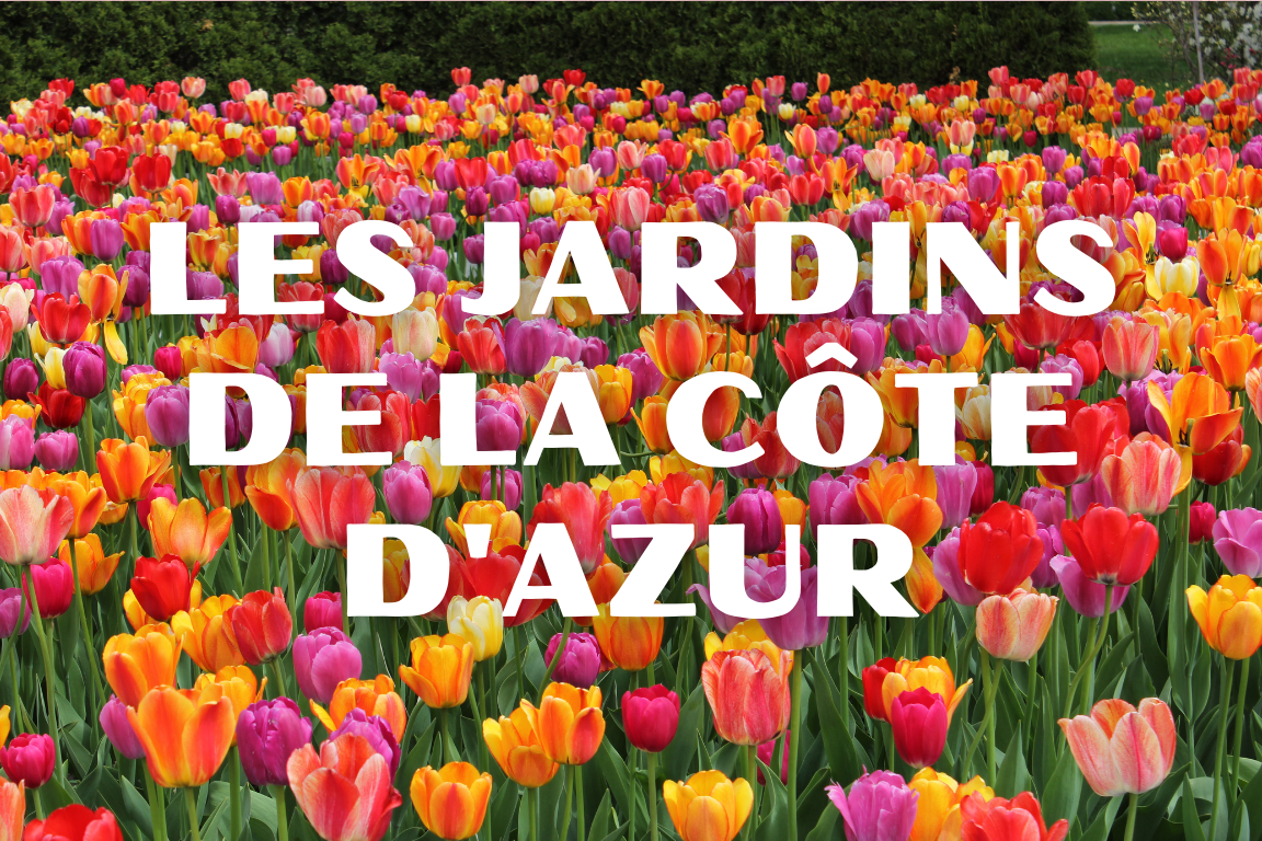 Les jardins de la Côte d'Azur Visuel